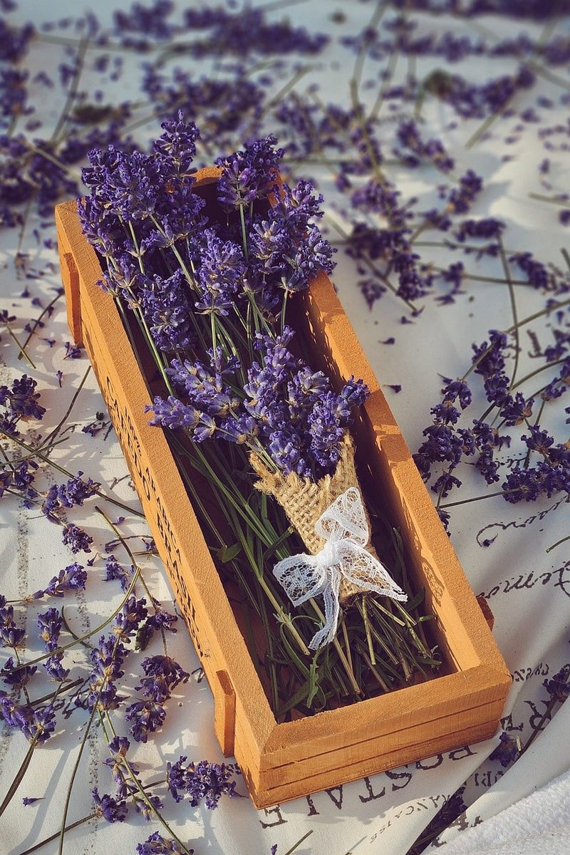 Herbal Charms
